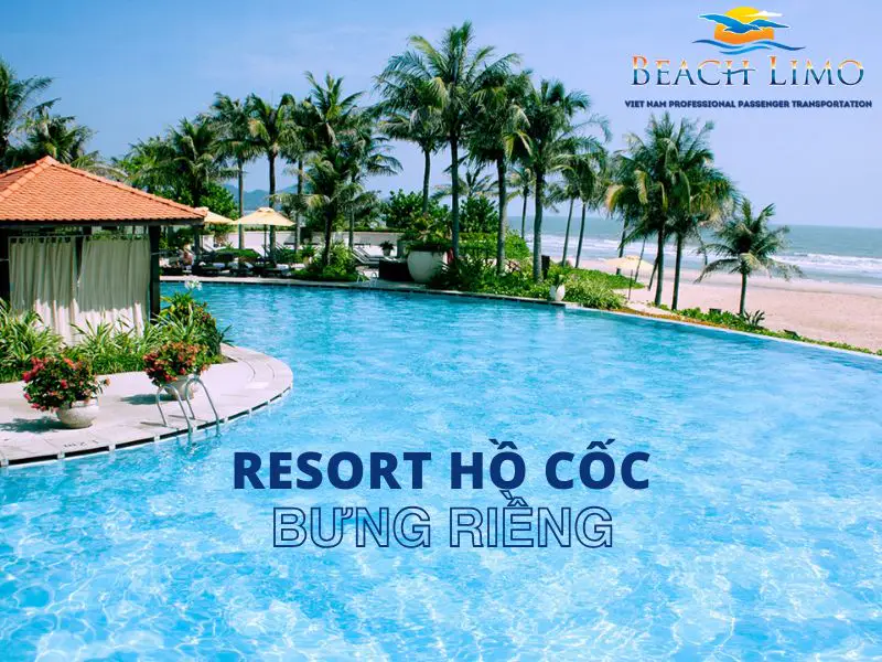 Taxi Bông Trang, Bưng Riềng – Dịch Vụ Uy Tín, Gọi Ngay 0565.669.339 Taxi Bông Trang, Bưng Riềng – Dịch Vụ Uy Tín, Gọi Ngay 0565.669.339